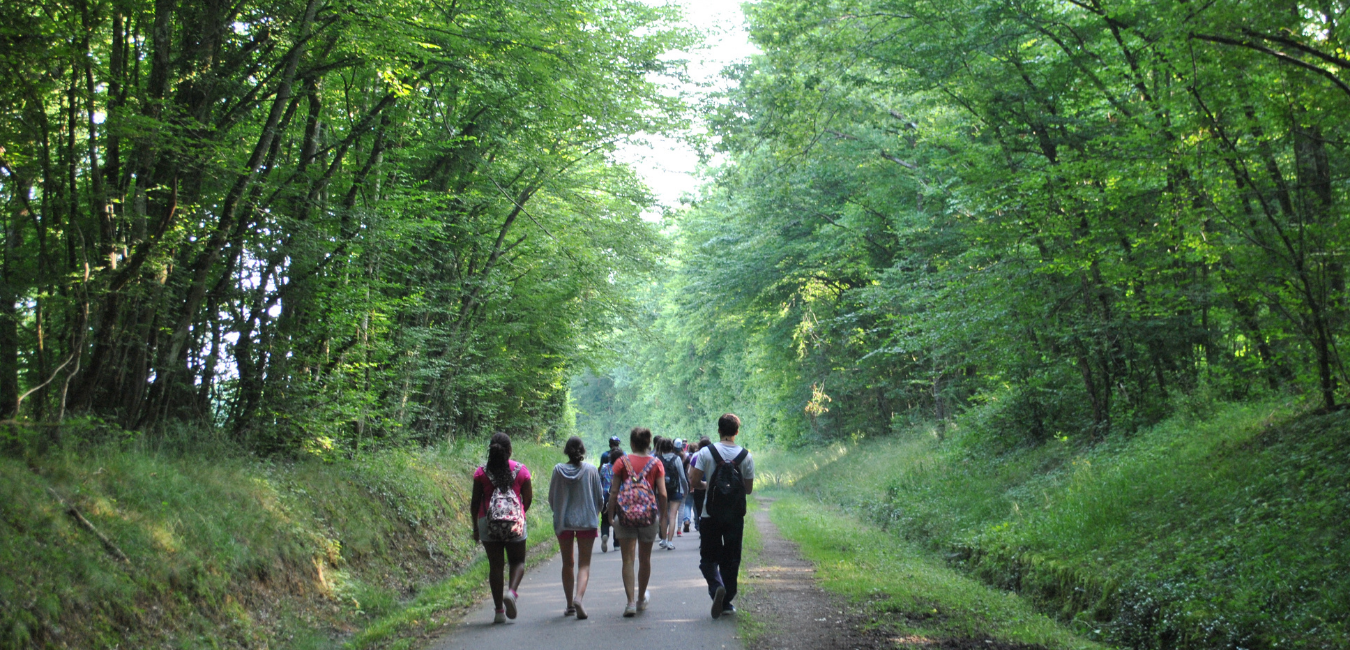 Les randonneurs en forêt